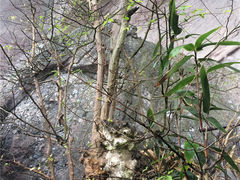 -崀山风景名胜区
