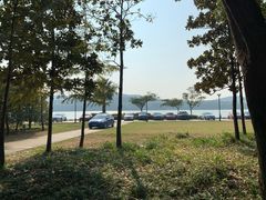 -水上明月·湖景餐厅