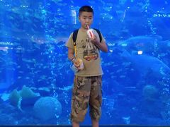 -成都浩海立方海洋公园