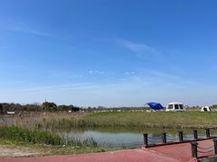 -春花秋色城市公园