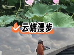 -哈尔滨大剧院
