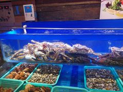 -船梆煮•蒸汽海鲜·生腌干蒸(五四广场店)