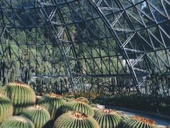 -深圳仙湖植物园