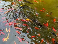 -红螺寺
