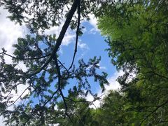 -藏龙百瀑风景区