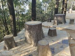 -阳台山森林公园