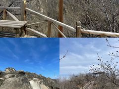 -大岭沟猕猴桃谷风景区