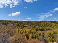 -塞罕坝国家级自然保护区