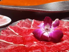 -园里火锅(仁和新城店)