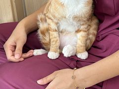 -爱诺耐芙动物医院(万博店)