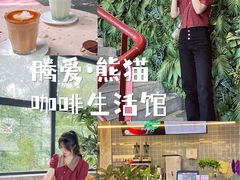 -腾爱熊猫咖啡生活馆(老东门店)