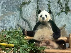 -深圳野生动物园