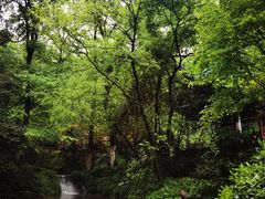 -岳麓山风景名胜区