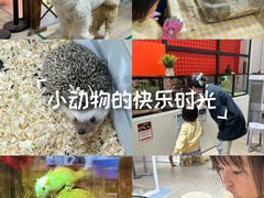 -深圳龙华星河COCO City(民治店)