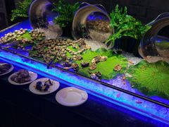 -鑫海汇海鲜烤肉自助(北国商城店)