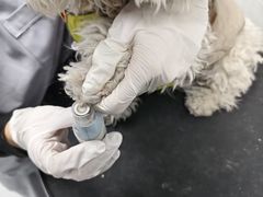-达爱动物医院·犬猫分区·CT·复杂眼科(远洋山水分院)