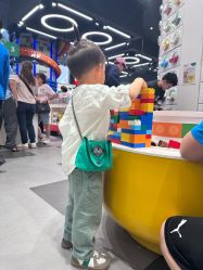 -乐高品牌旗舰店(人民广场店)