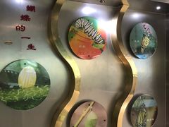 -上海昆虫博物馆