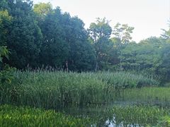 -白鹭湾湿地公园