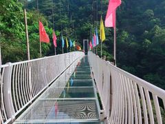 -藏龙百瀑风景区