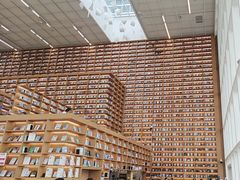 -朵云书院(滴水湖店)