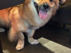 -叁鯨·日式料理Sankujira