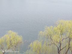 -郑州植物园
