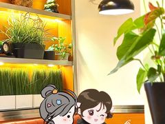 -双福饺子营餐厅(财富广场店)