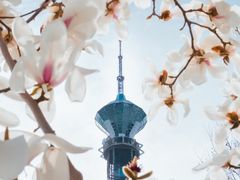 -裕华世纪公园
