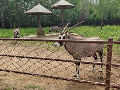 -大连森林动物园