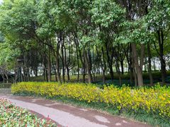 -嘉北郊野公园