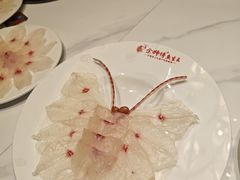 -中华茉莉园