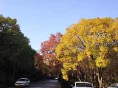 -胜华驾校·小猫学车(银都店)