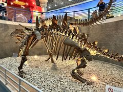 -国家自然博物馆