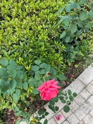 -杭州奥拉克医疗美容门诊部