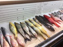 -海蓝海鲜馆(五四北店)