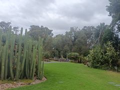 -墨尔本皇家植物园