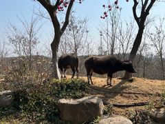 -茅山东方盐湖城景区