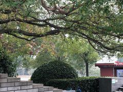 -秦始皇帝陵博物院-丽山园