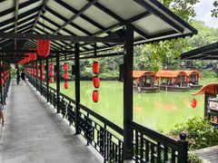 -侨美·唐荔园·40年地道粤菜