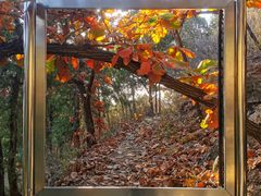 -北京十三陵国家森林公园蟒山景区