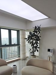 -HEYAN荷妍专业脱毛连锁机构