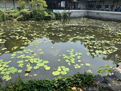 -上海醉白池公园