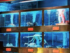 -ONE FULL 古董港式海鲜火锅