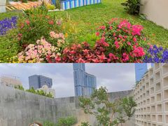 -莲花山公园