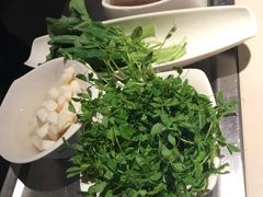 -海底捞火锅(枫蓝国际购物中心店)