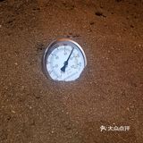 今日份养生鱼
