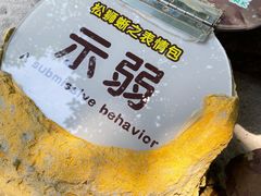 -广州长隆飞鸟乐园