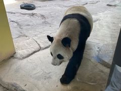 -杭州野生动物世界