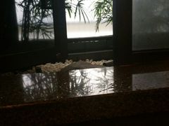 -台北北投丽禧温泉酒店